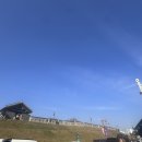 송연야채