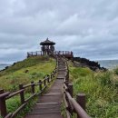 닭머르해안길 이미지