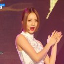 스포츠퍼포먼스그룹
