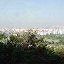 정왕태양광발전소 이미지