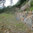 상천리-1 이미지