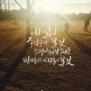 안나앤댄스 이미지