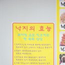 다운낙지
