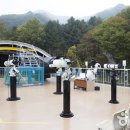 황학동캠핑장 이미지