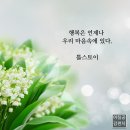 유 시모카미 | 돼지