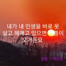월드홍익선원 네이버블로그
