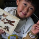 큰나무유치원 이미지