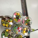 황등중학교 이미지