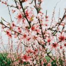 웅포주유소 이미지