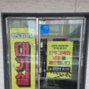 클리어비치 | ​[속초 맛집] 완도회식당 산오징어물회 내돈내산 솔직후기 &amp; 고성 오션뷰 카페 고비치 5311