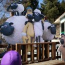 대관령 아기동물농장 이미지