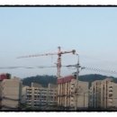 다산행정사사무소 이미지