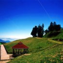 경관농장 이미지