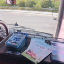 단양군시티투어 | 단양여행 단양여행코스 │한 여름에 떠나는 시원한 국내여행 　　　0810 단양군시티투어후기