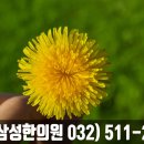 간석경희한의원 이미지