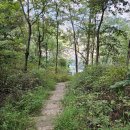 용천(인왕) 이미지