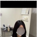 정성붙임머리