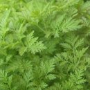 정인농장 이미지