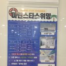 마린스타스위밍 이미지