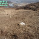 모평리마을회관 이미지