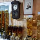 추억상회 이미지