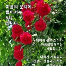 참누리노인복지센터 이미지