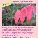세겹줄