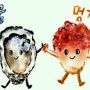 멍게 이미지