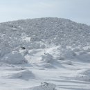 2.23일 둔내 청태산 눈산행5시간 청태산은 설경이 아름답고 산기슭에 자연 휴양림이 조성되어 있어 겨울 휴식지로도 좋은 곳이다. 이미지