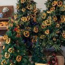 원주곤충마을박물관 이미지