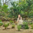 저지차경 이미지