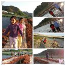 행복빌리지 민박 이미지