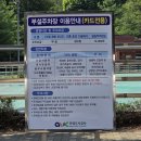 유아숲체험원(1) | ​[안양 놀이터] 28개월 아기와 만안구 유아숲 체험원 방문 후기 (주차&amp;놀이터 시설)