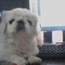 컴박사 이미지