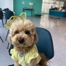 견상낙원 이미지