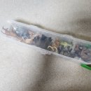 상아동물병원 | [내돈내산]컬렉타 미니 고대동물 세트(12종)