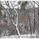 12월 28일 문수산 눈꽃산행 이미지