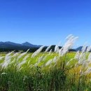 아침의 향기 이미지