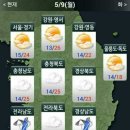 사람나무 이미지
