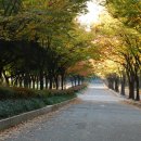 사계절 이미지