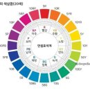 스카이행정사사무소 이미지