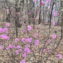 선산우리의원 이미지