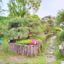 천만애능이백숙 이미지