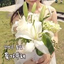[04/27] 프리저브드 플라워 미니센터피스 - 원데이 클래스 | [리뷰] 남양주꽃집 꽃가득해 생화 부케 꽃다발 후기