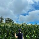 육모정민박 이미지