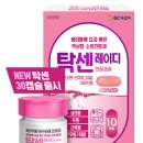 레이디 - 마포구 | 레이디