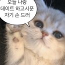 나랑케이크