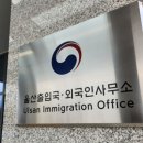 민들레 행정사 이미지