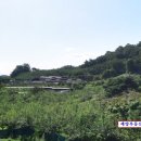 무의목장 이미지