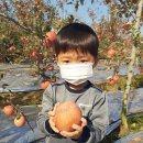 도훈농장 이미지